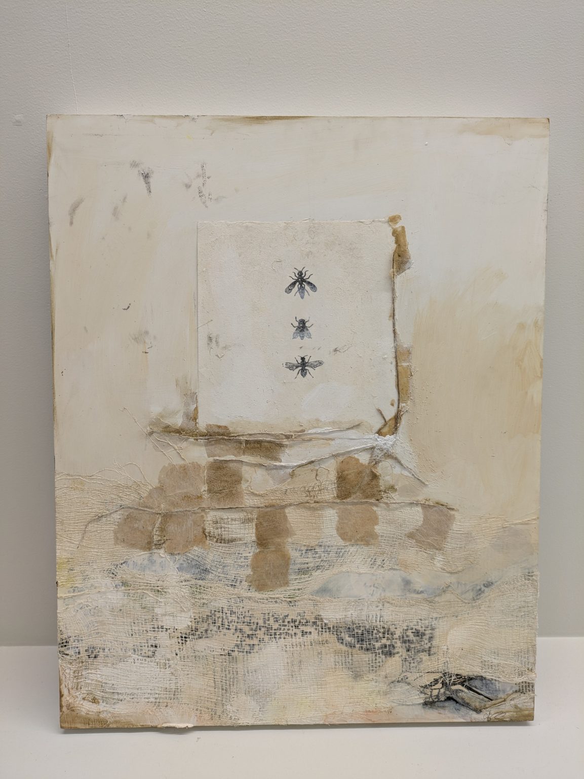 Gallery 3 - 