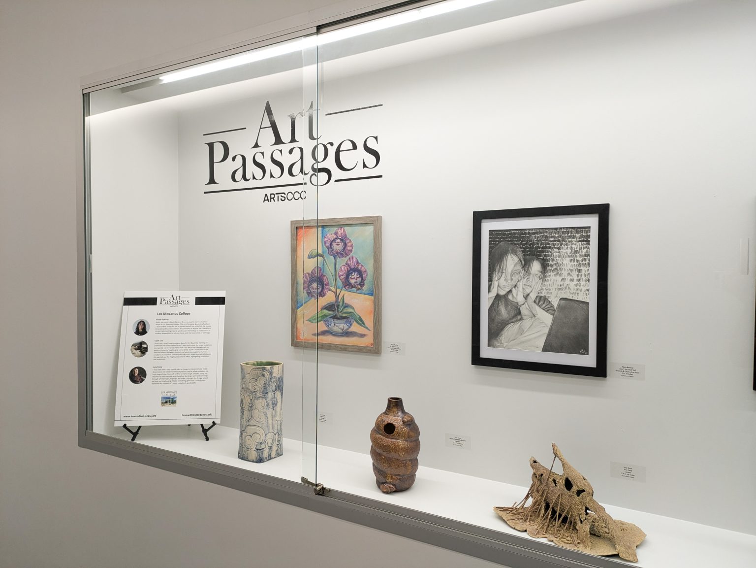 Gallery 1 - Los Medanos College display at an Art Passages exhibit at the County Administration Building in Martinez, CA. Photo by ARTSCCC.