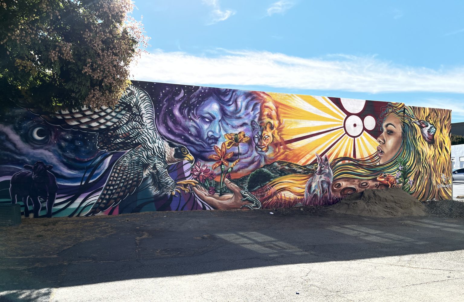 Gallery 3 - Land Reclaimed