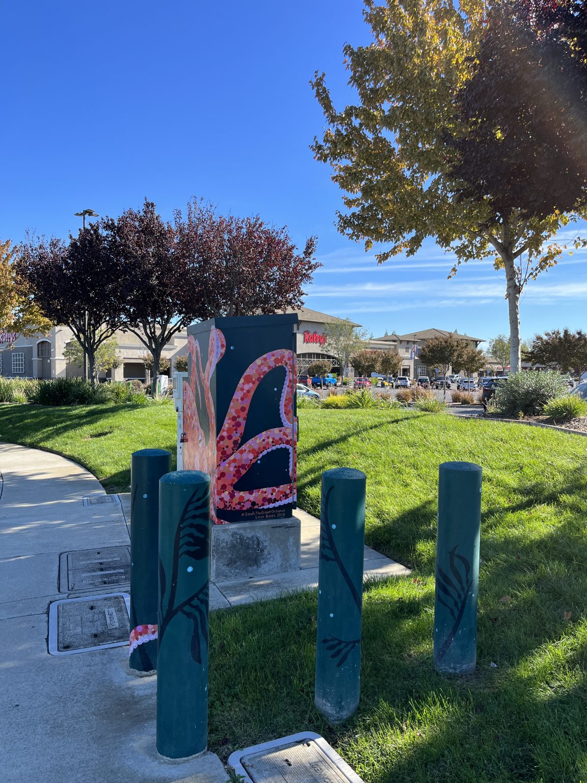Gallery 2 - Sandy The Giant Octopus