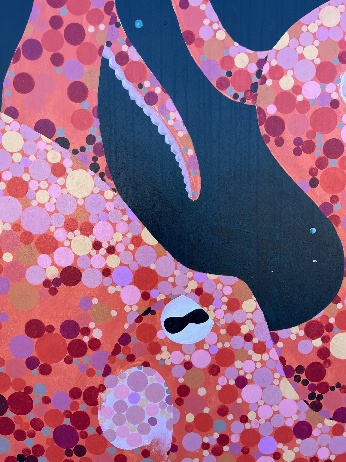 Gallery 1 - Sandy The Giant Octopus