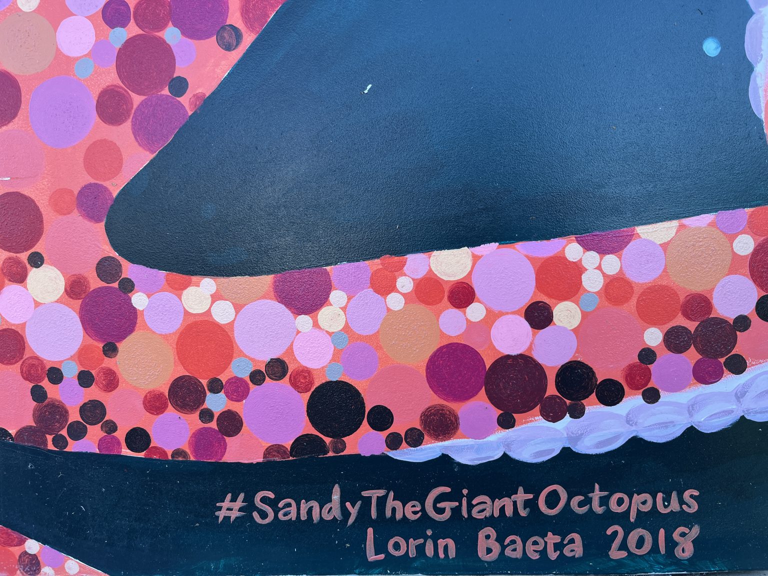 Gallery 3 - Sandy The Giant Octopus