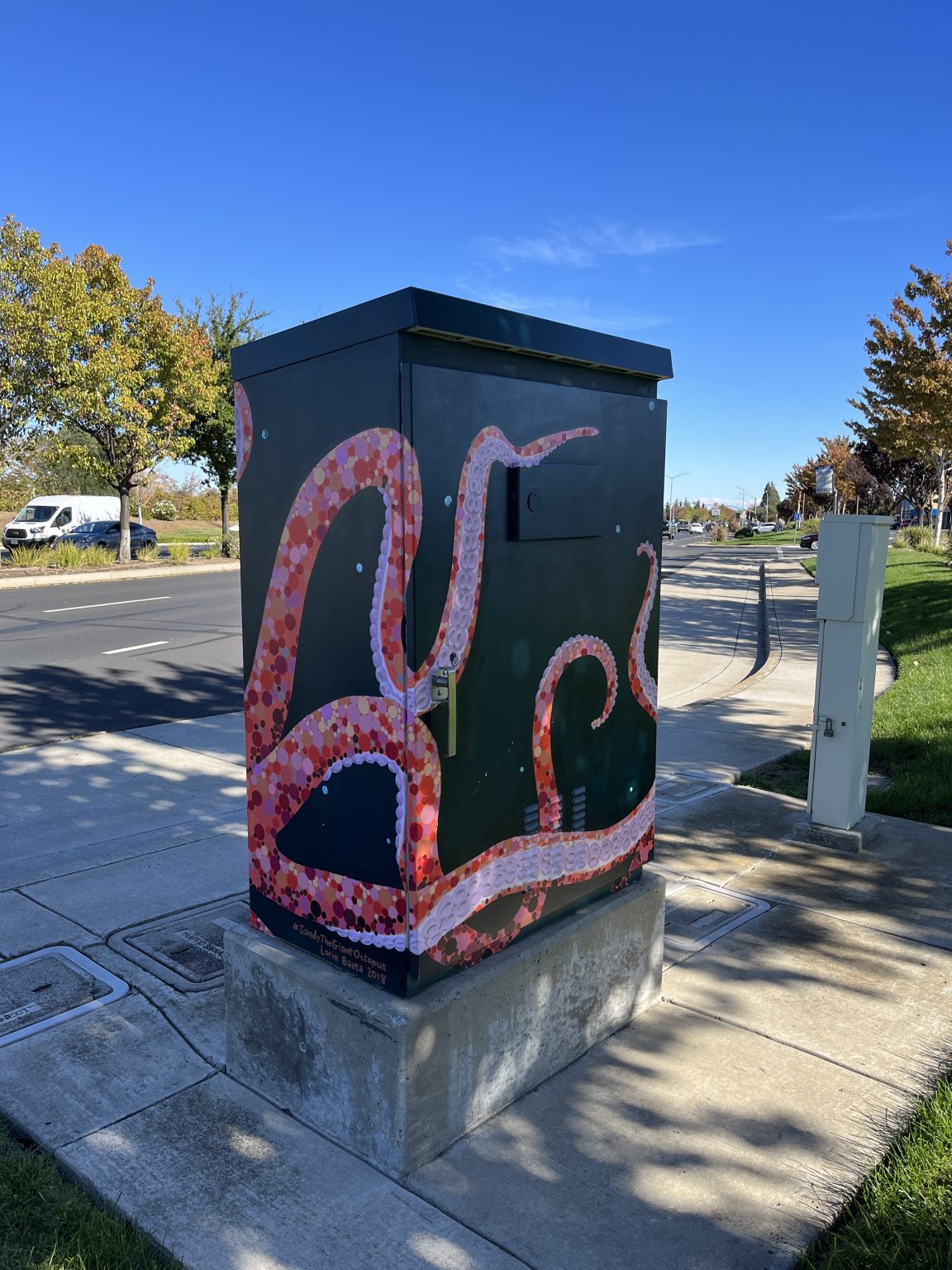Gallery 4 - Sandy The Giant Octopus