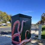 Gallery 4 - Sandy The Giant Octopus