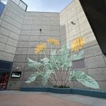 Gallery 2 - Balsamorhiza