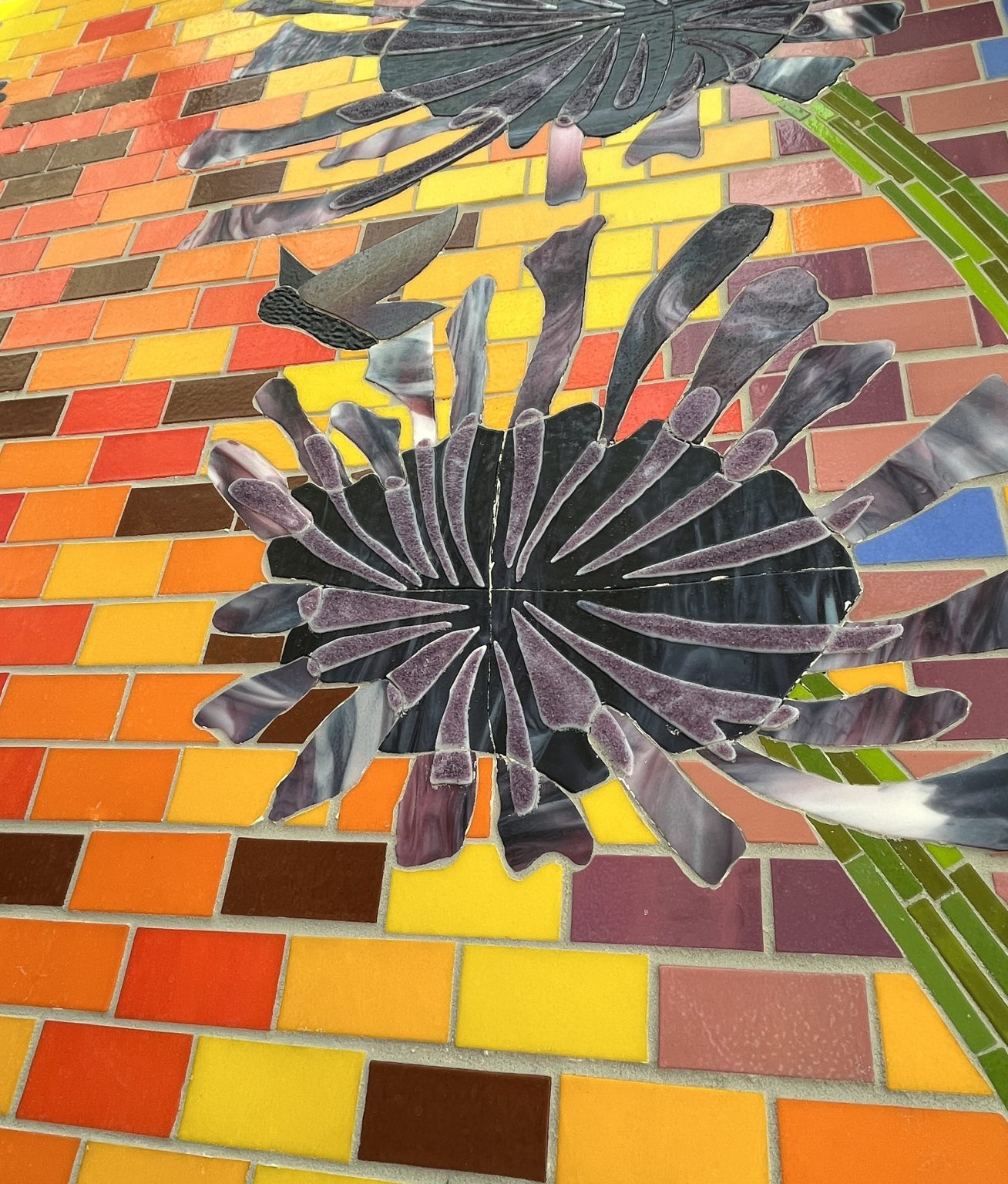 Gallery 3 - Unity in Alliums