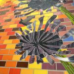Gallery 3 - Unity in Alliums