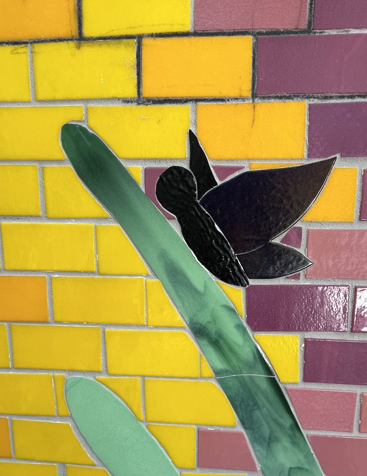 Gallery 4 - Unity in Alliums