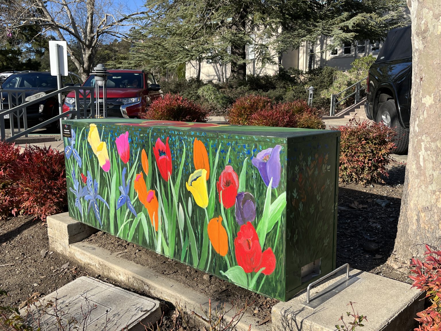 Gallery 1 - Spring Garden