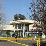 Gallery 2 - Contra Costa School of Performing Arts. ARTSCCC photo.