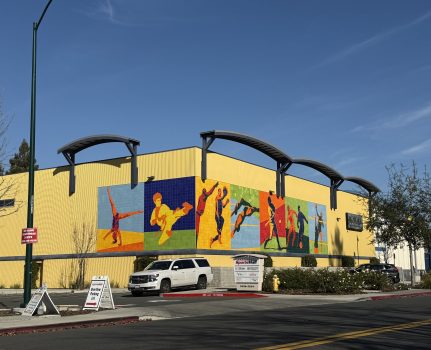 Shadelands Sports Complex Mural