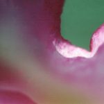 Gallery 3 - 