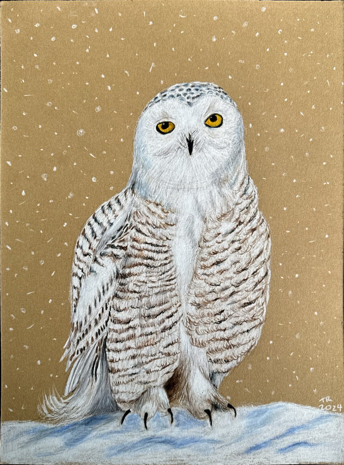 Gallery 4 - color pencil drawing of a white owl standing on a pile of snow with a brown background