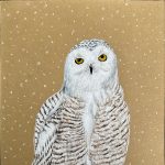 Gallery 4 - color pencil drawing of a white owl standing on a pile of snow with a brown background