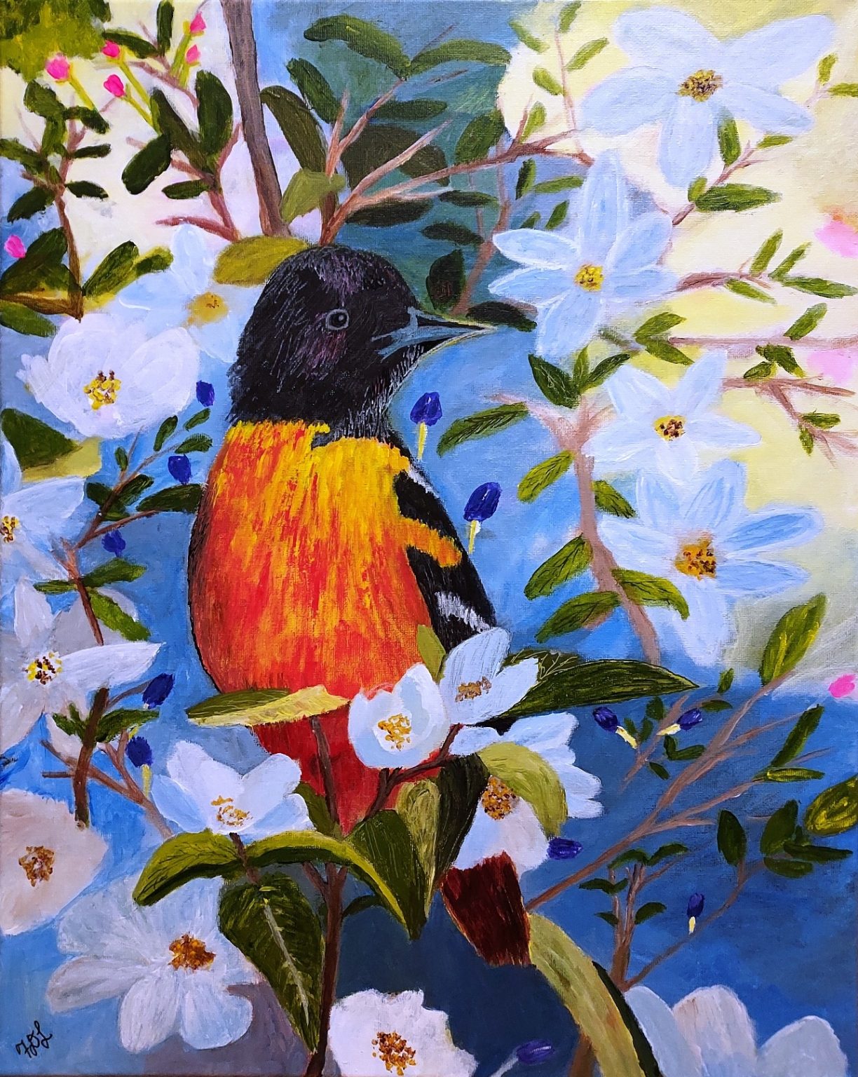 Gallery 8 - Baltimore Oriole in Blossoming Tree