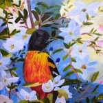 Gallery 8 - Baltimore Oriole in Blossoming Tree