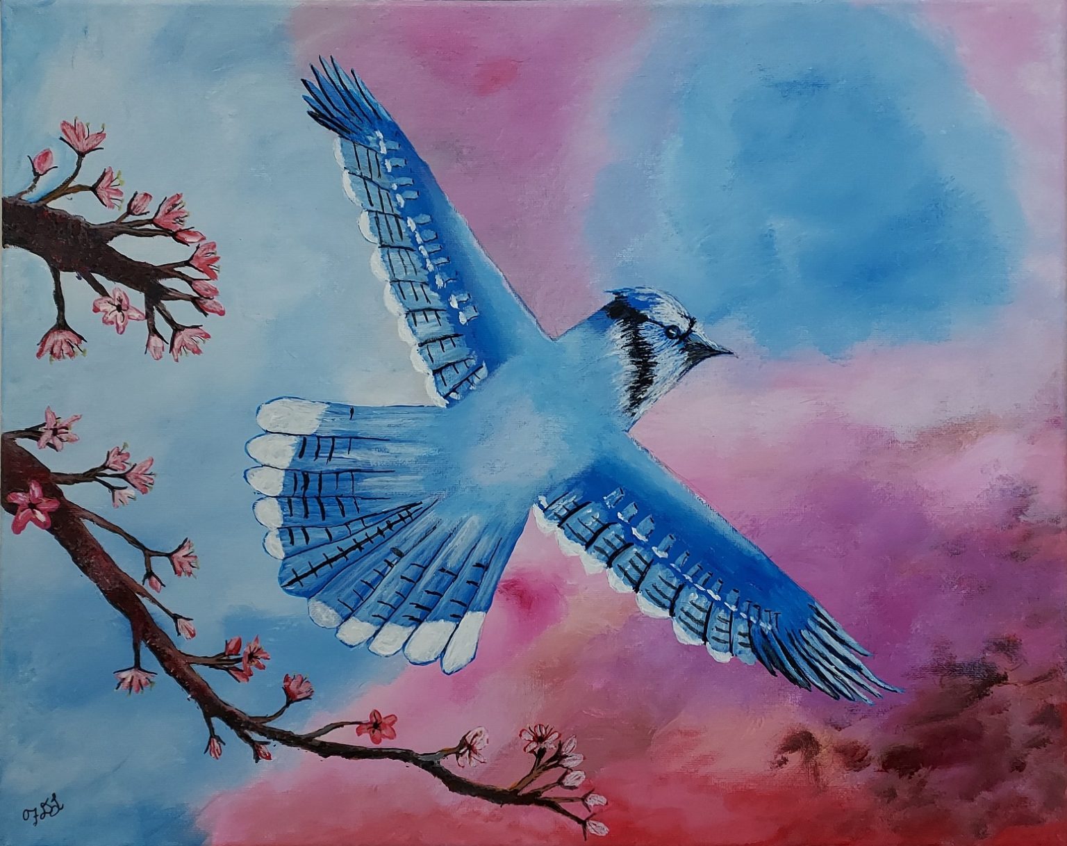Gallery 9 - Blue Jay in Flight