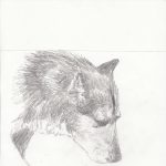 Gallery 9 - Black and white side facing portrait of a dog
