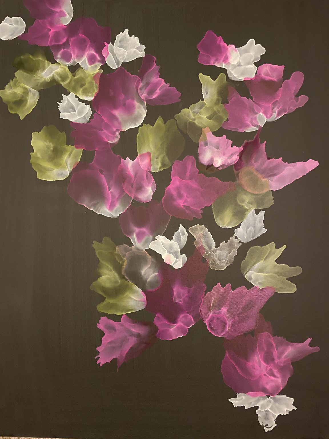 Gallery 2 - abstract image drawing on the bougainvillea plant.  Black background, pink and white 