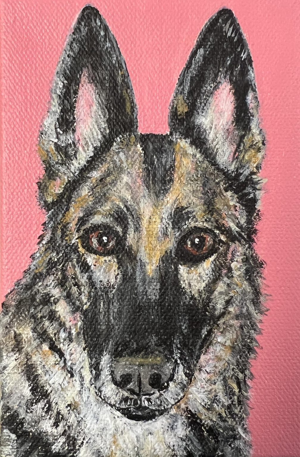 Gallery 6 - Painting of a German Shephard on a pink background