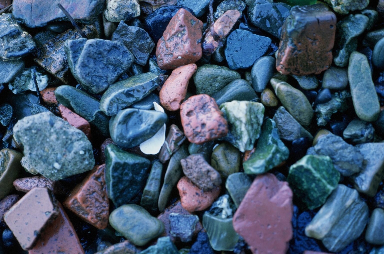 Gallery 4 - small section of blue stones on beach