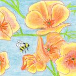Gallery 9 - Painting of orange Poppies on blue background and bees flying about