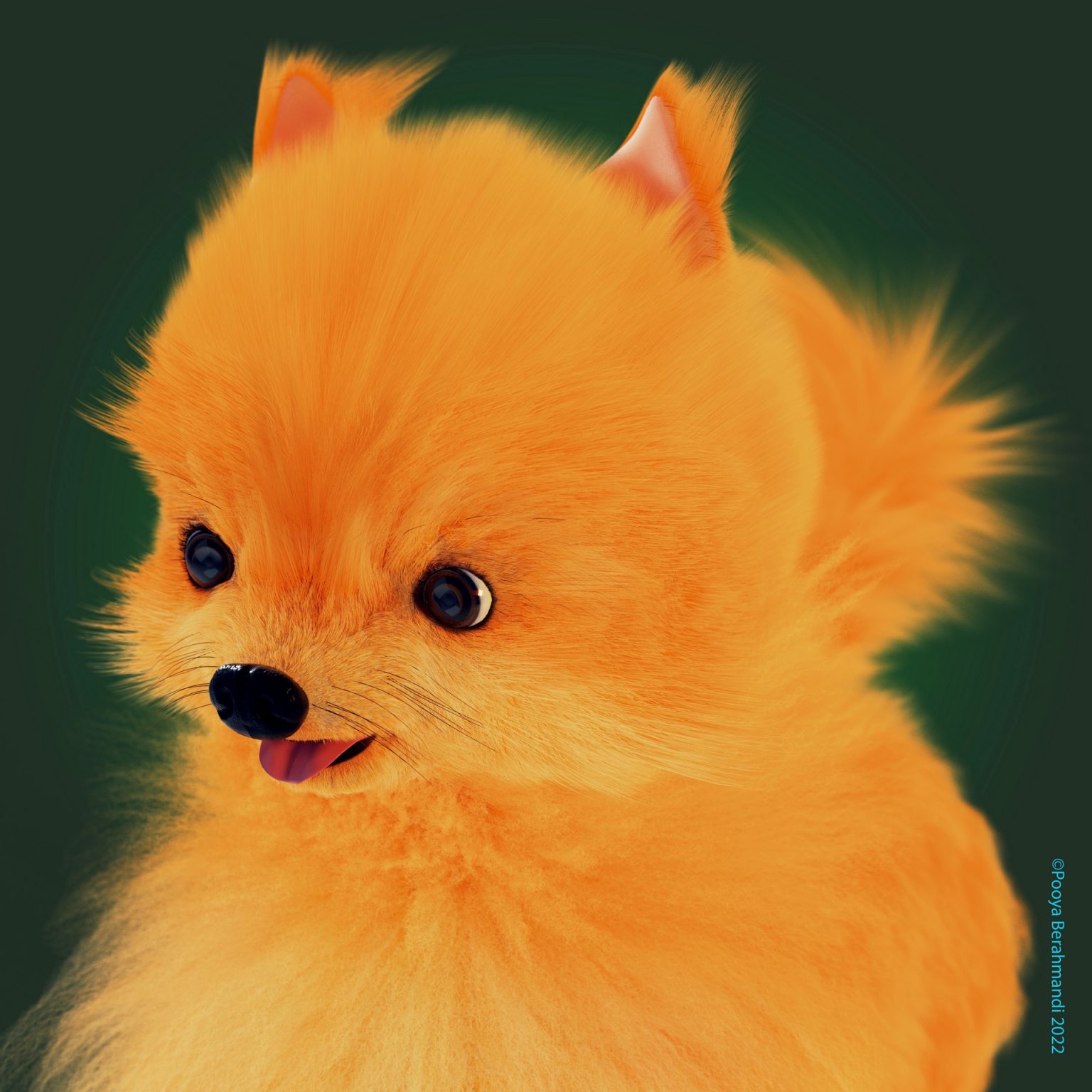 Gallery 10 - stylized 3D model of Pomeranian dog