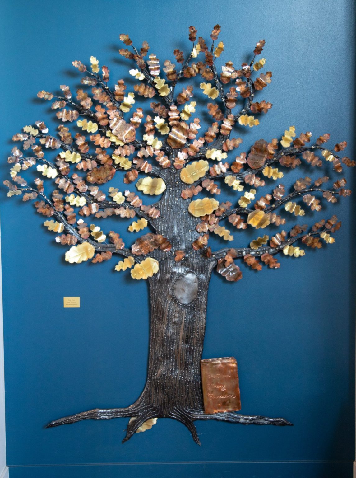 Gallery 1 - 
