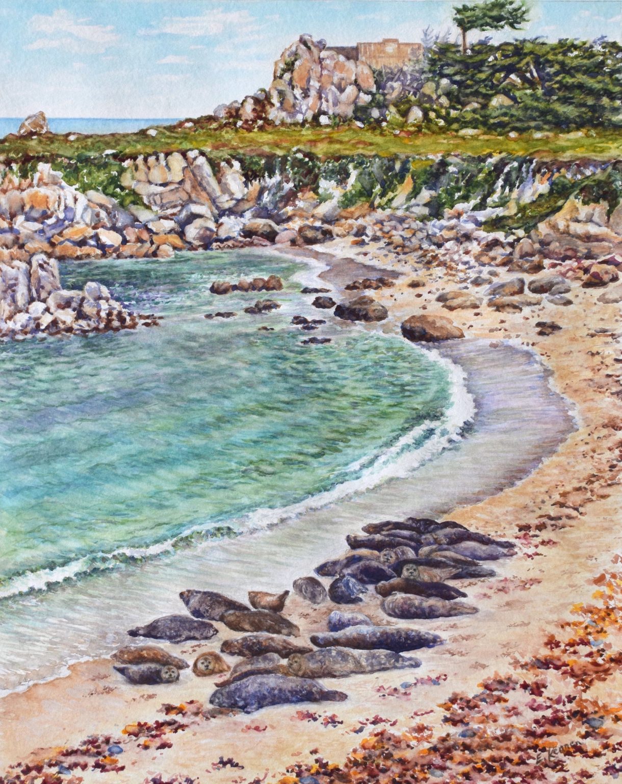 Gallery 1 - Watercolor painting of harbor seals resting on a beach. Blue/green water, rocks, cliff and tres.