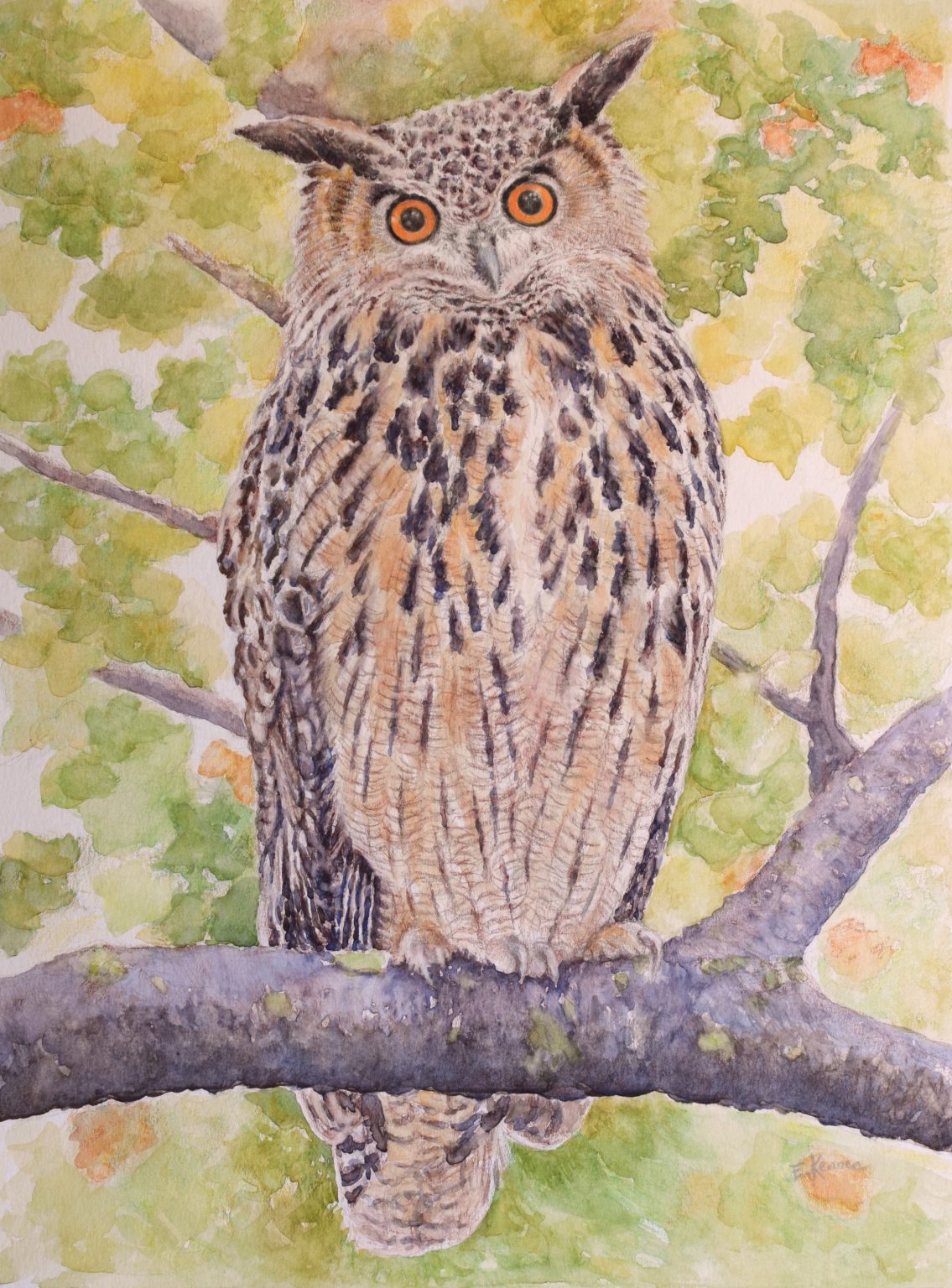 Gallery 4 - Watercolor painting of an owl perched on a branch. Soft green, yellow, orange leaves all around.