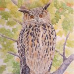 Gallery 4 - Watercolor painting of an owl perched on a branch. Soft green, yellow, orange leaves all around.