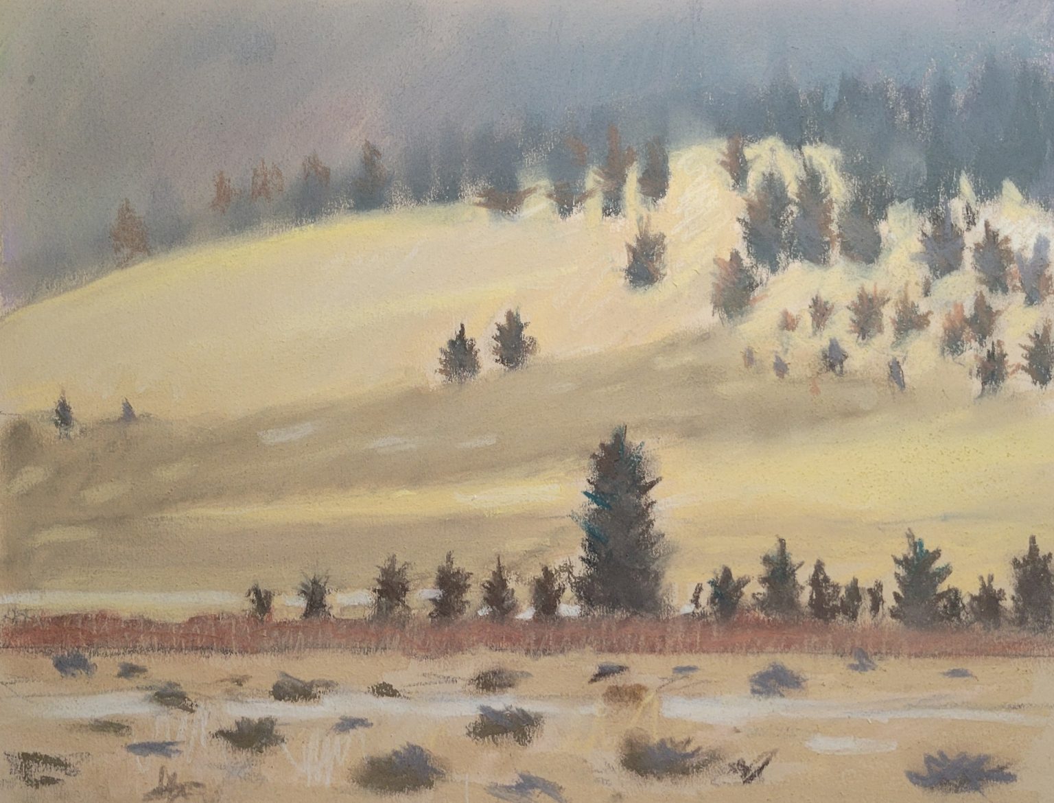 Gallery 3 - Yellow hills and pine trees
