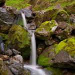 Gallery 6 - A small, multi-tiered waterfall cascades down a rocky, moss-covered slope. The water appears soft and blurry due to a long exposure, contrasting with the sharp textures of the dark, mossy rocks. Green grass and foliage are visible at the top of the frame.