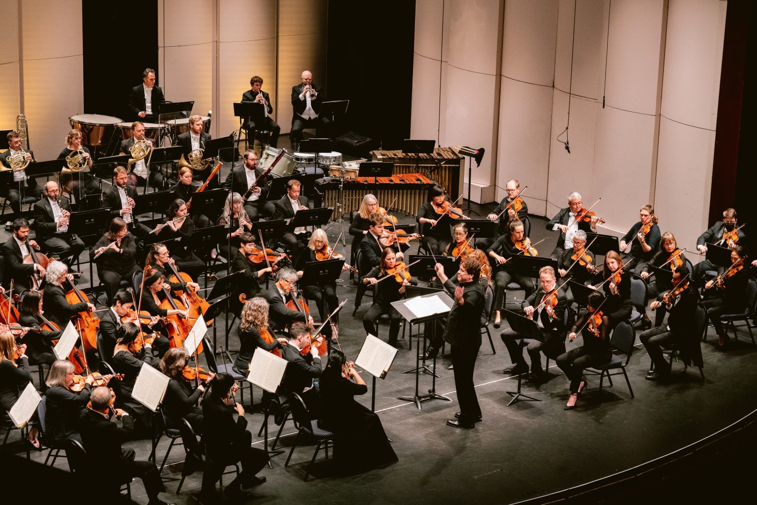 Gallery 1 - Donato Cabrera conducts the California Symphony in concert.