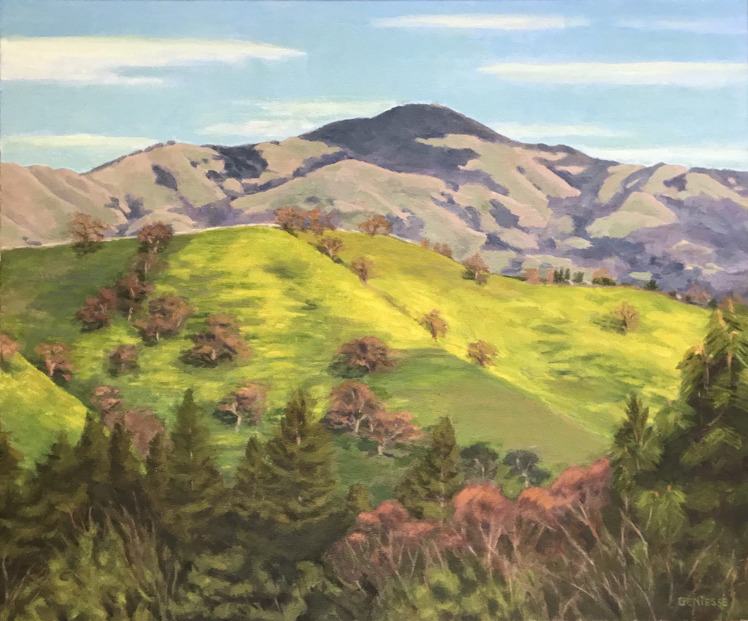 Gallery 1 - Mount Diablo, mustard in the hills below, oil painting