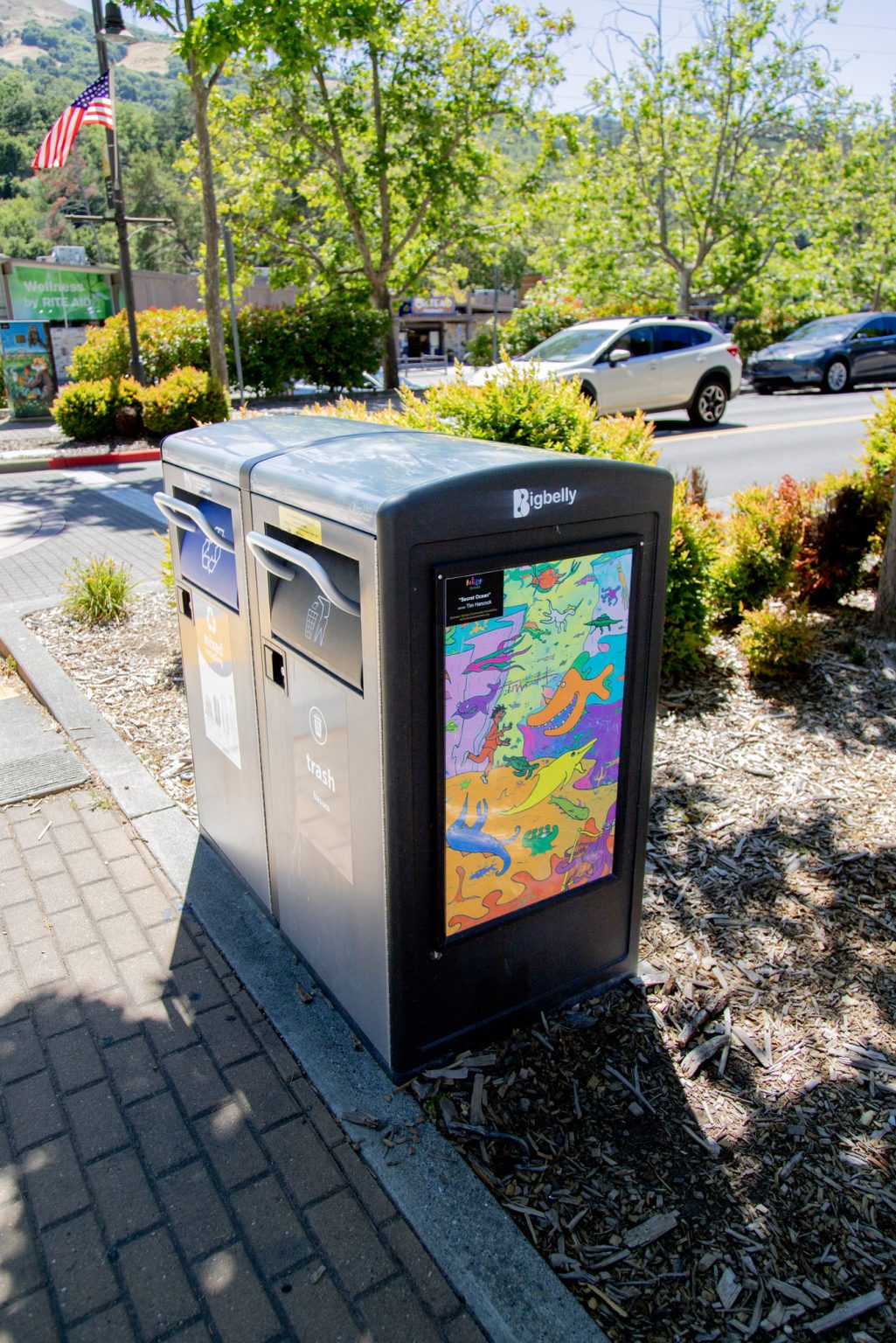 Gallery 2 - A brightly colored, cartoon-style mural on a rectangular Bigbelly trash bin showing a human figure swimming among numerous smiling and whimsical sea creatures, including a large orange fish and an octopus playing a golden harp.