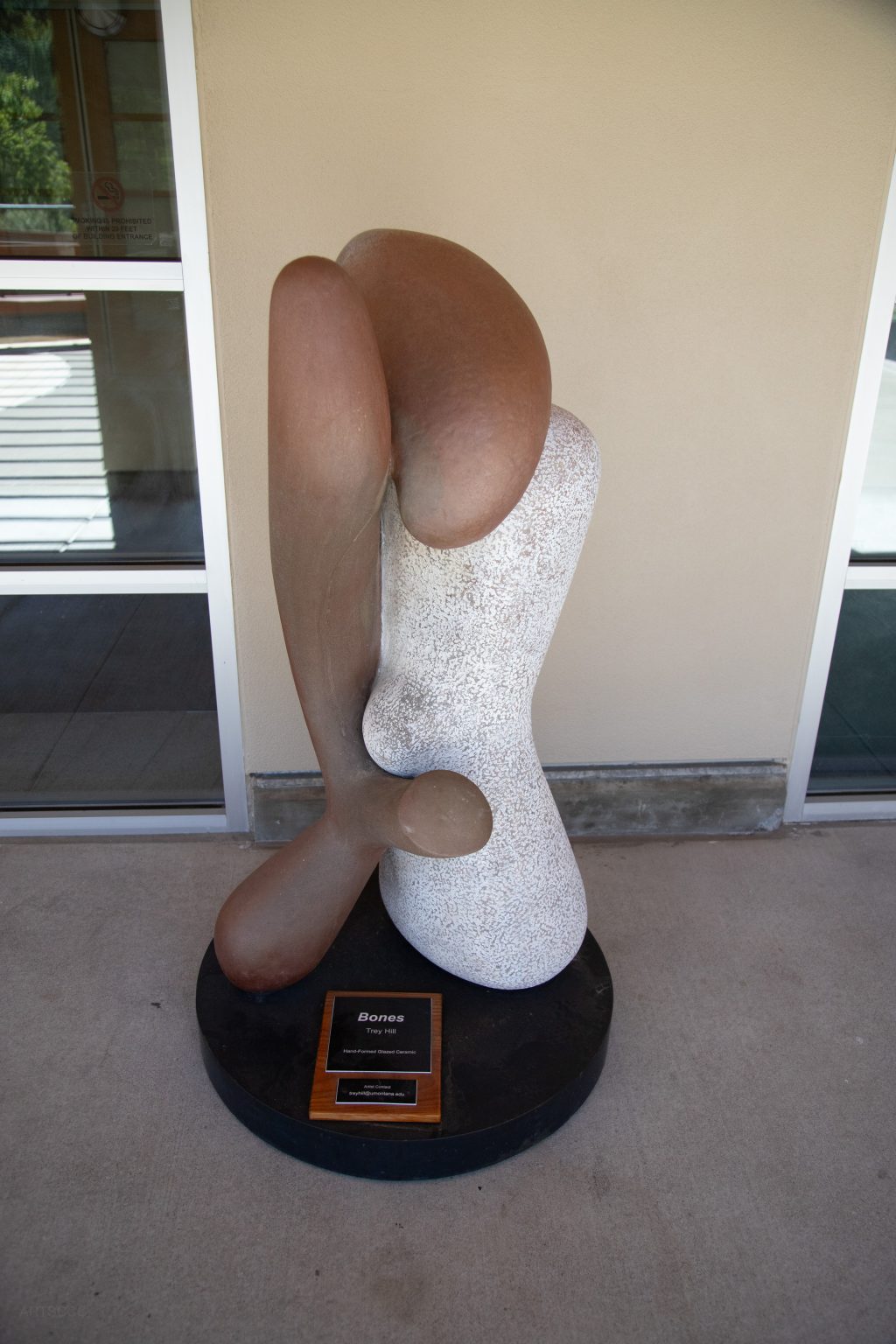 Gallery 3 - Bones