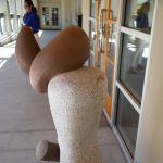 Gallery 2 - Bones