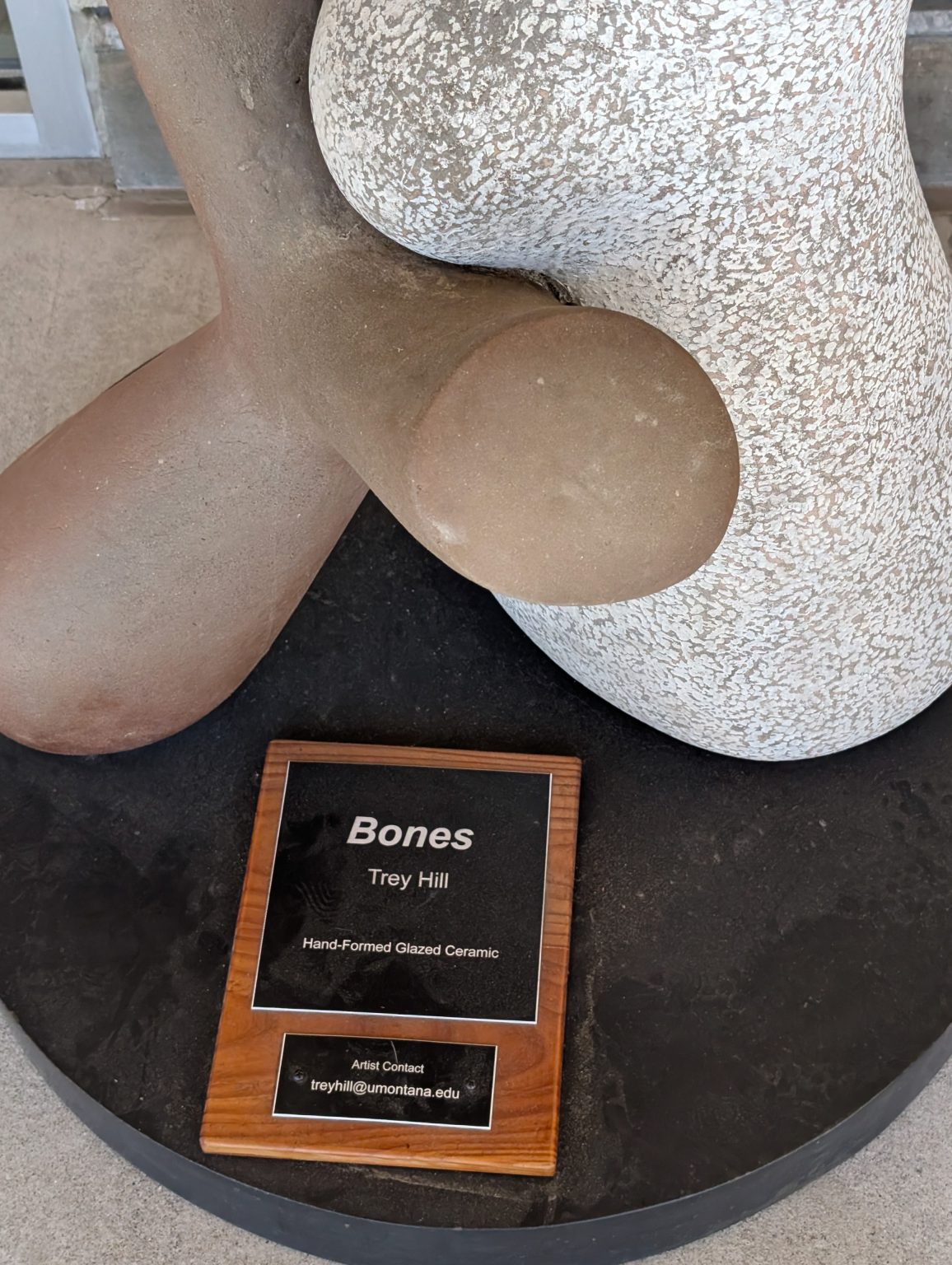 Gallery 4 - Bones