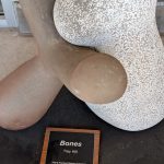 Gallery 4 - Bones
