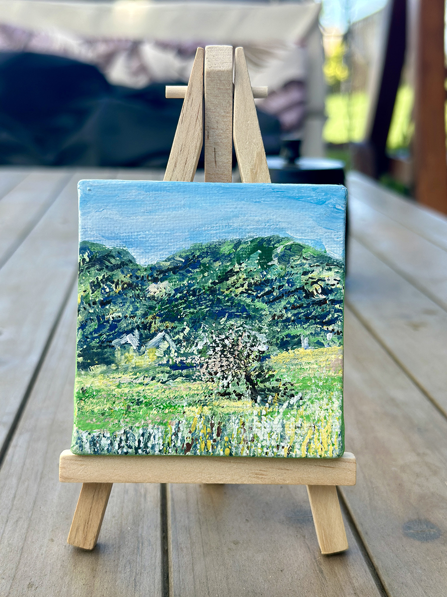 Gallery 2 - minature spring landscapern
