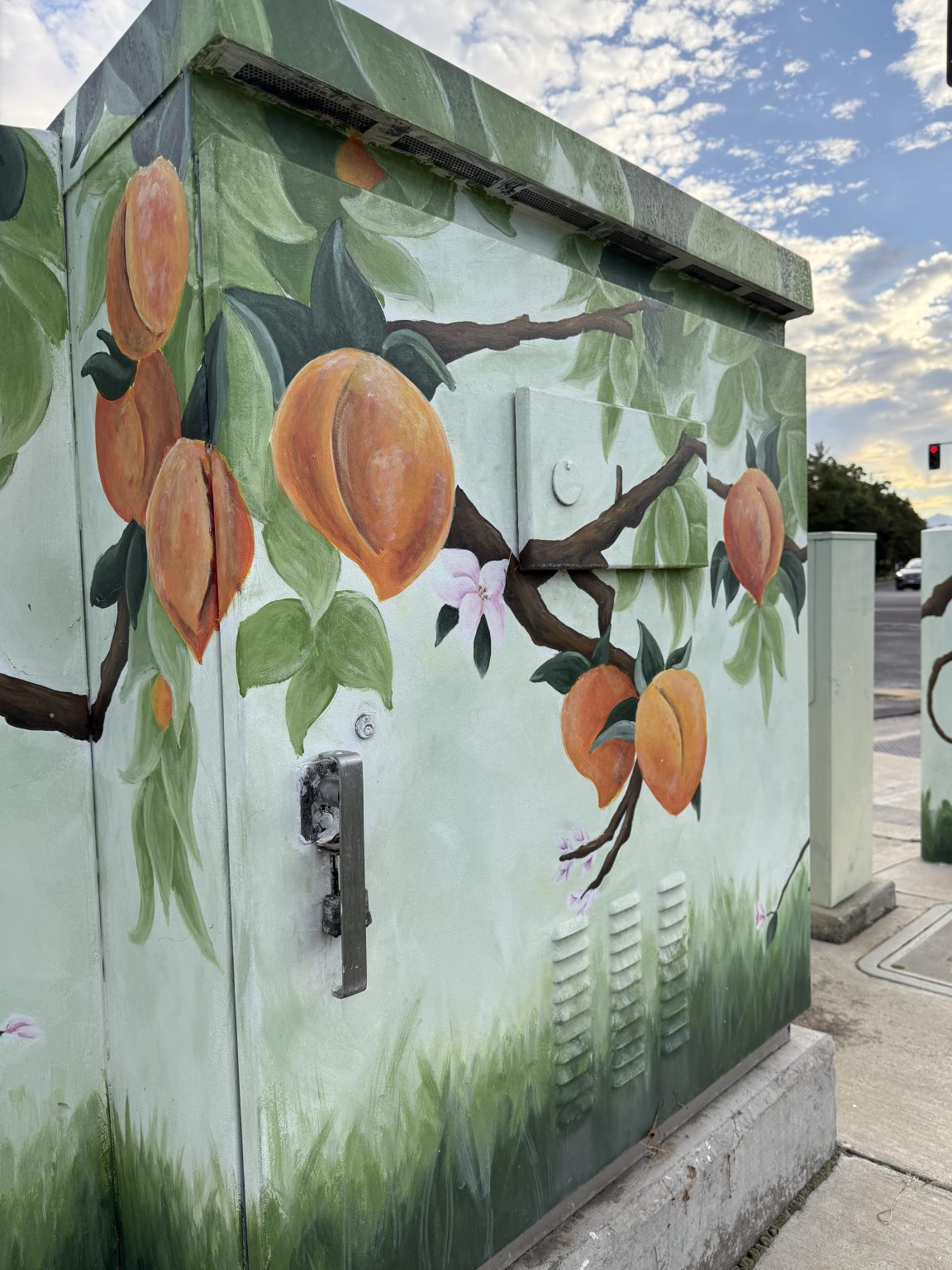 Gallery 4 - Peaches and blossoms grow on branches painted on a utility box.
