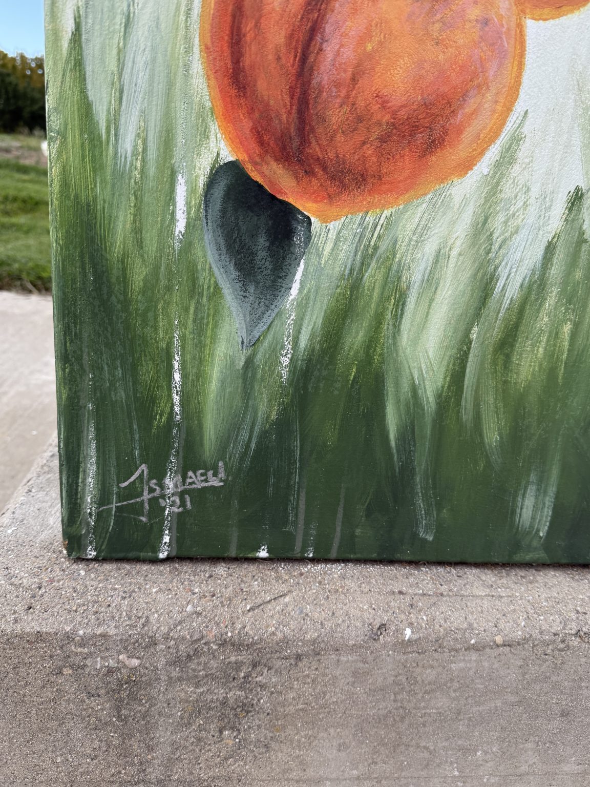 Gallery 7 - Peaches