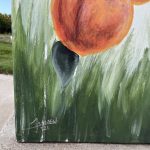 Gallery 7 - Peaches