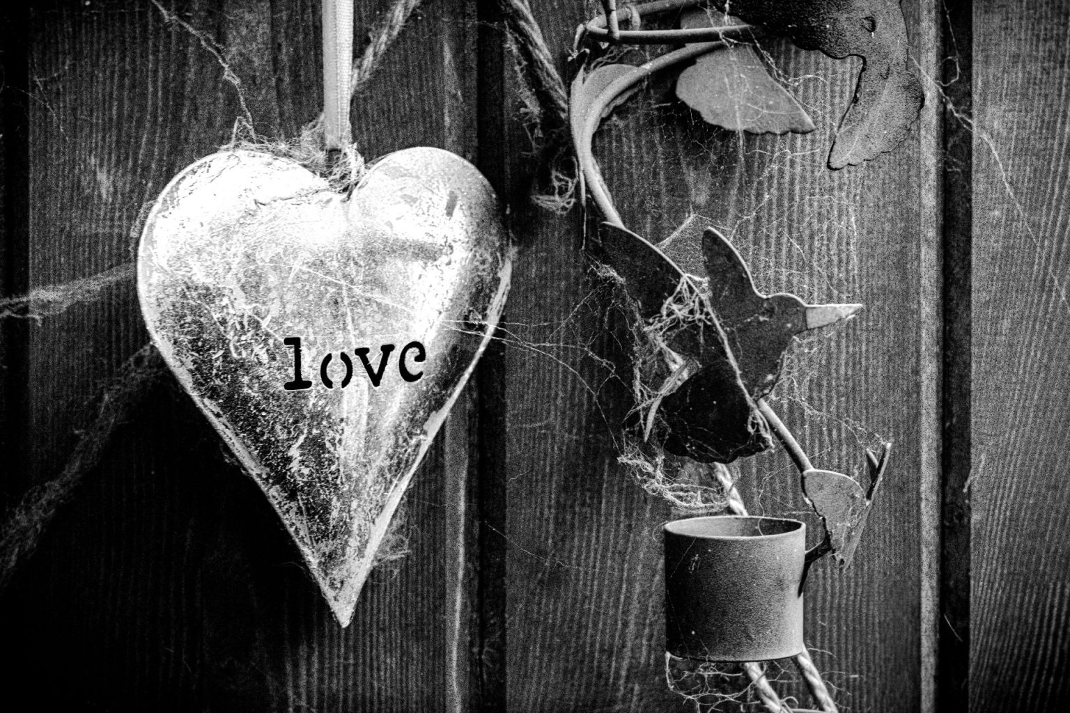 Gallery 2 - A high-contrast monochrome photograph by Stephanie Romanowski featuring a weathered metal heart with