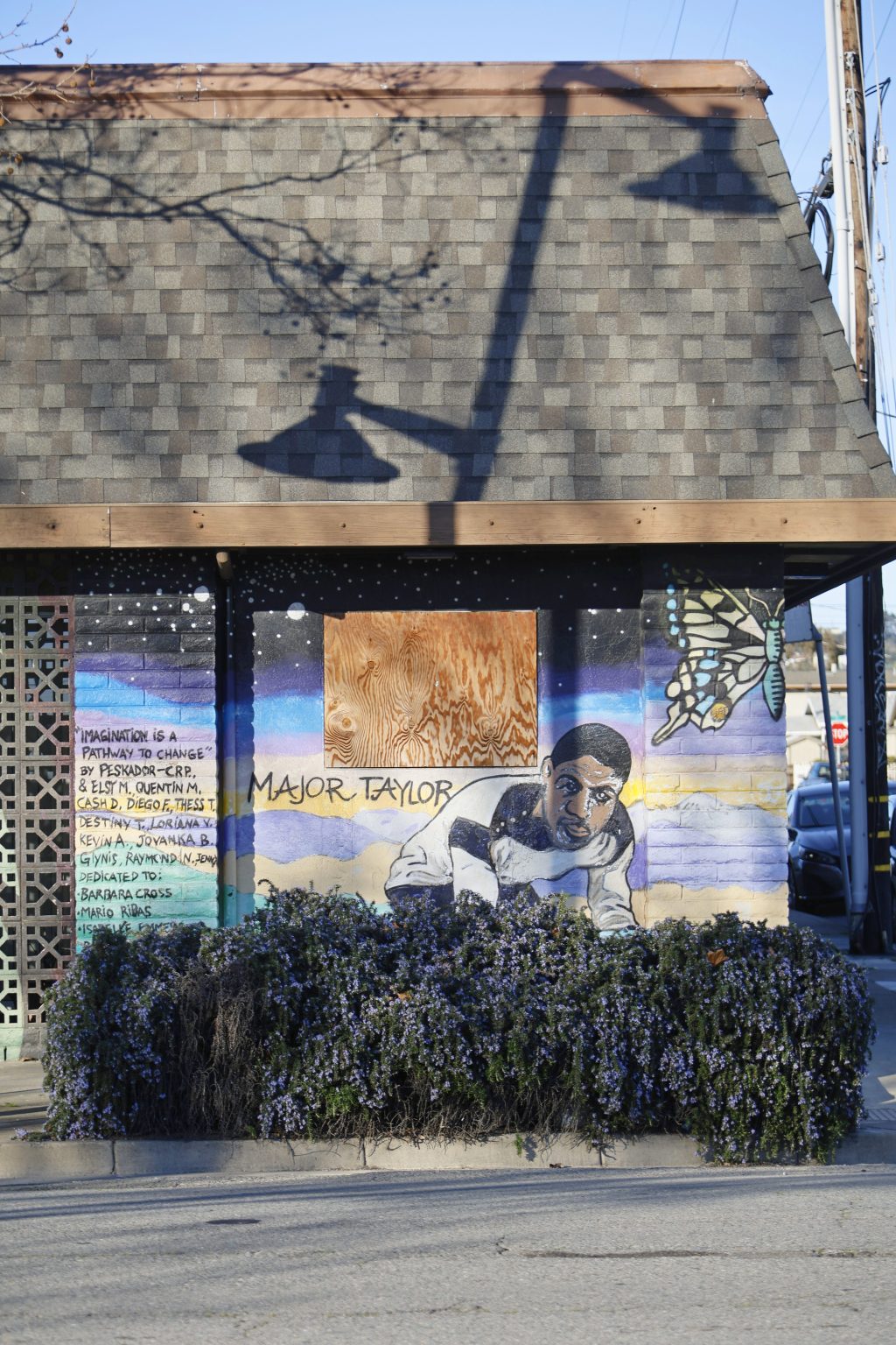 Gallery 4 - Imagination Is The Pathway To Change