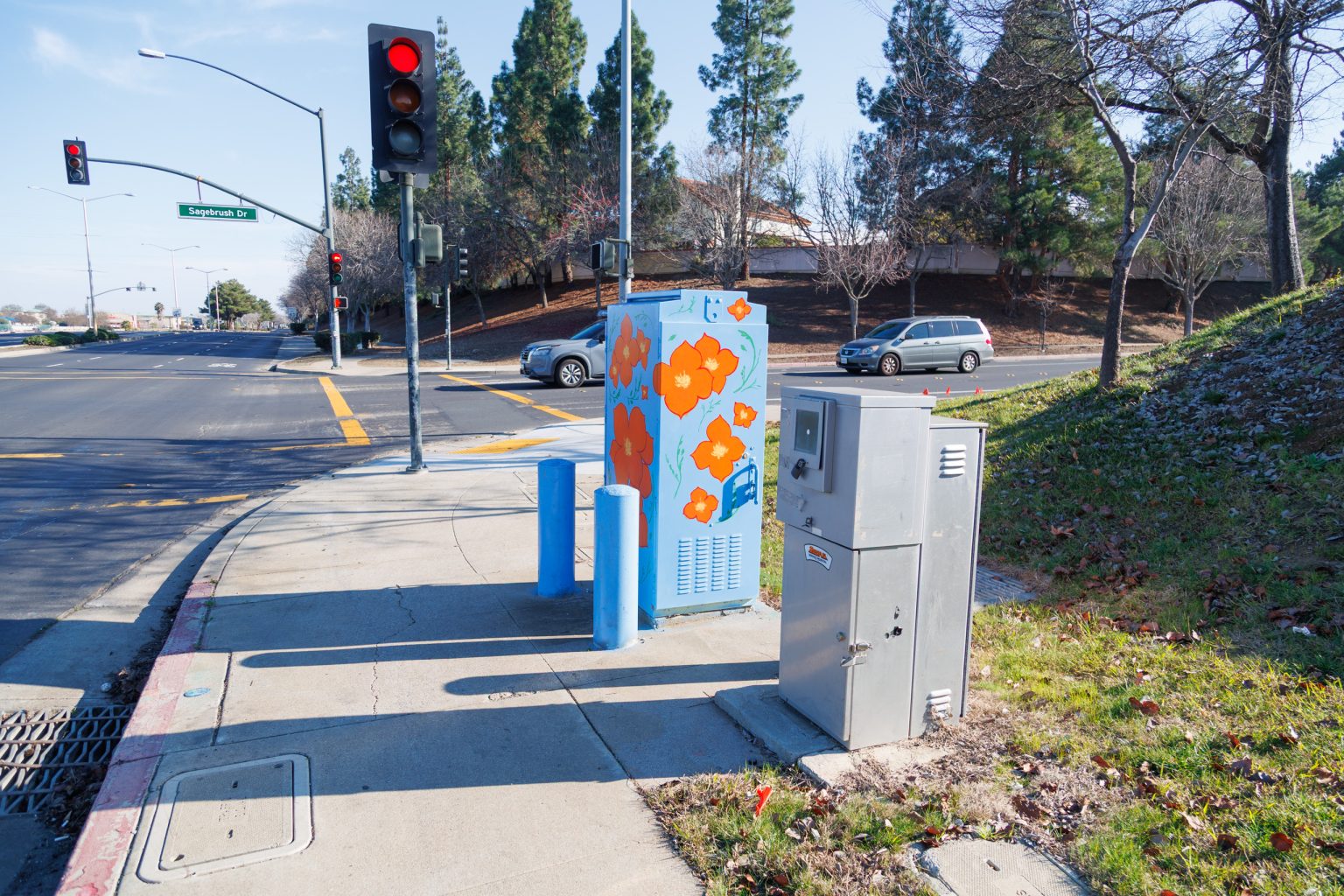 Gallery 7 - Painted utility box at a street corner with large orange flowers on a light blue background. The artwork brightens a traffic signal cabinet beside Sagebrush Drive in Antioch.