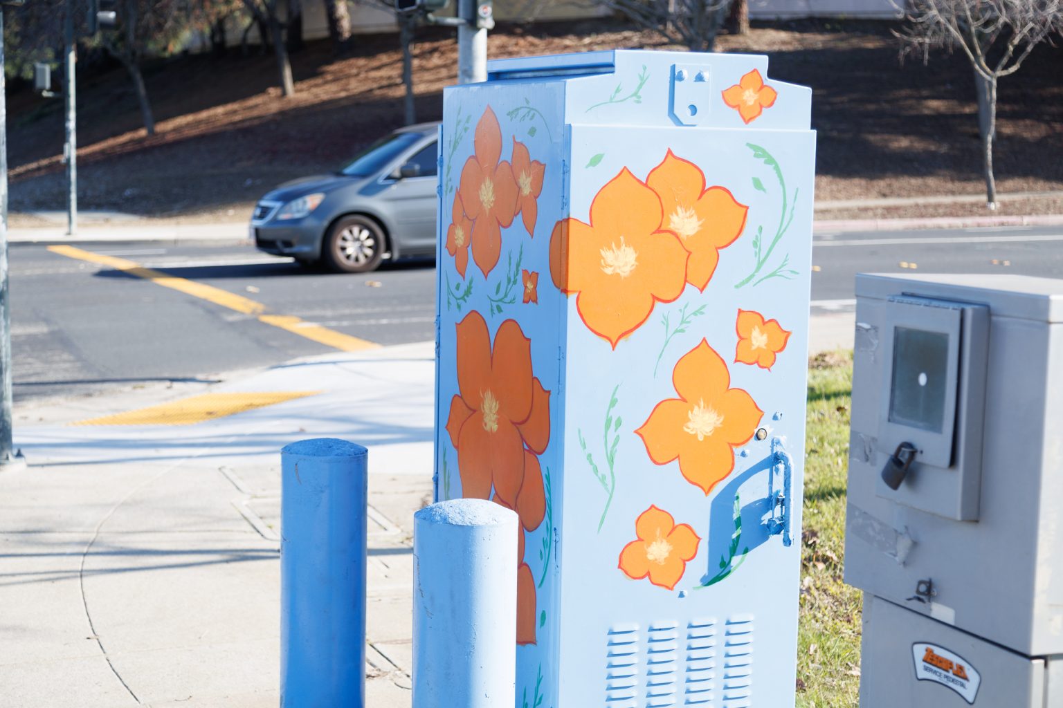 Gallery 6 - Painted utility box at a street corner with large orange flowers on a light blue background. The artwork brightens a traffic signal cabinet beside Sagebrush Drive in Antioch.