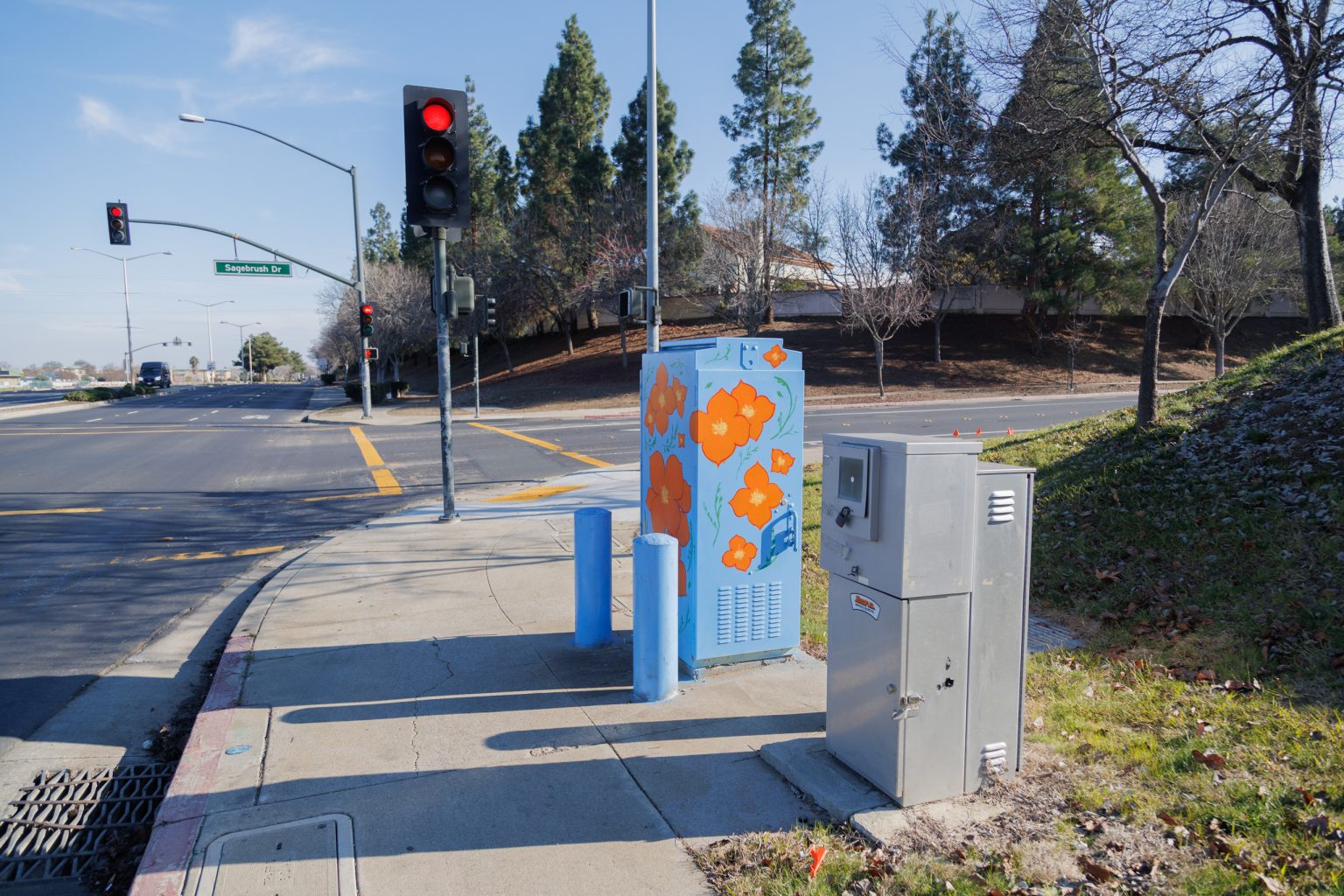 Gallery 5 - Painted utility box at a street corner with large orange flowers on a light blue background. The artwork brightens a traffic signal cabinet beside Sagebrush Drive in Antioch.