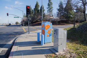 Painted utility box at a street corner with large orange flowers on a light blue background. The artwork brightens a traffic signal cabinet beside Sagebrush Drive in Antioch.